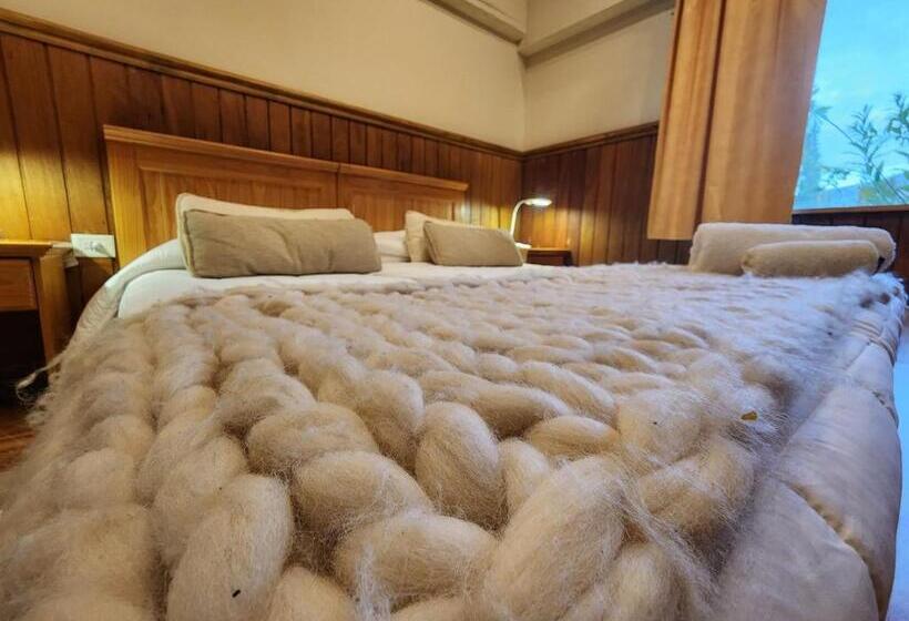 غرفة قياسية, Del Glaciar Libertador