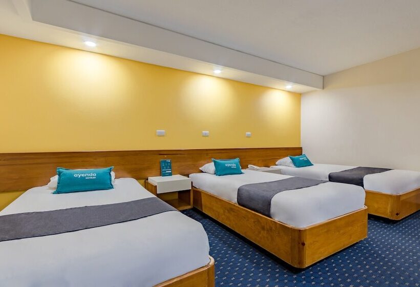 اتاق استاندارد سه نفره, Ayenda Hidalgo