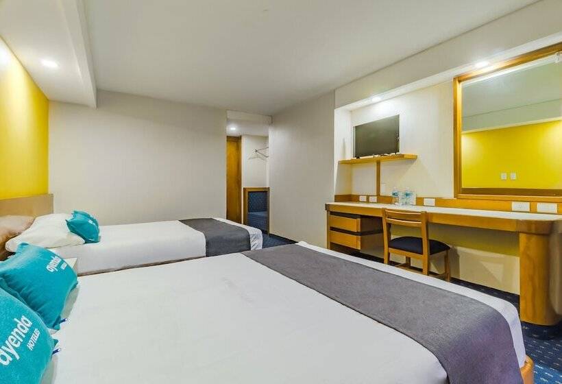 اتاق استاندارد چهار تخته, Ayenda Hidalgo