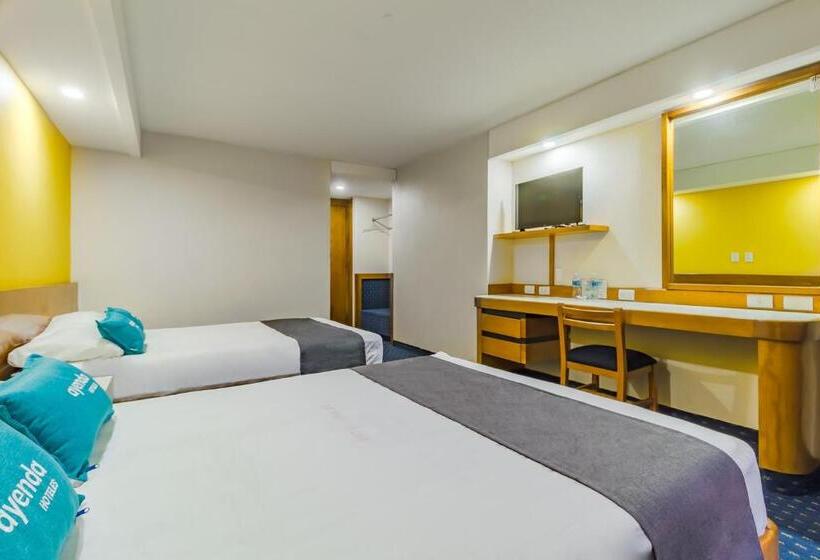 اتاق استاندارد چهار تخته, Ayenda Hidalgo