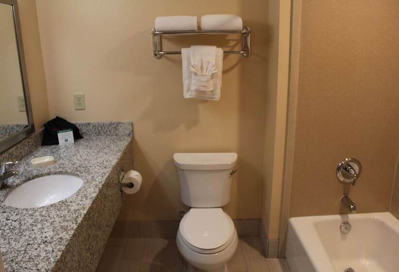 جناح, Wyndham Garden Lancaster Ca