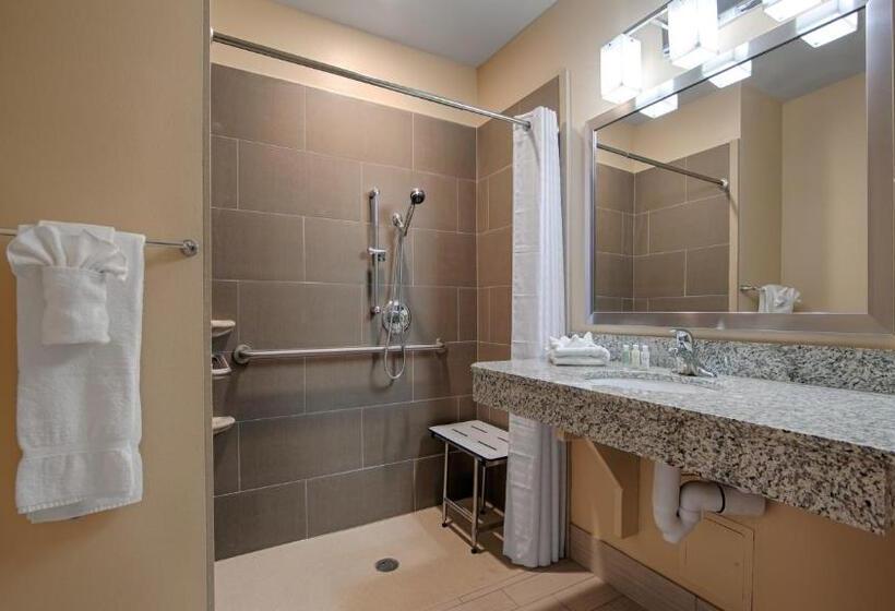 Номер Стандарт Кровать Кинг Адаптированный для Инвалидов, Wyndham Garden Lancaster Ca