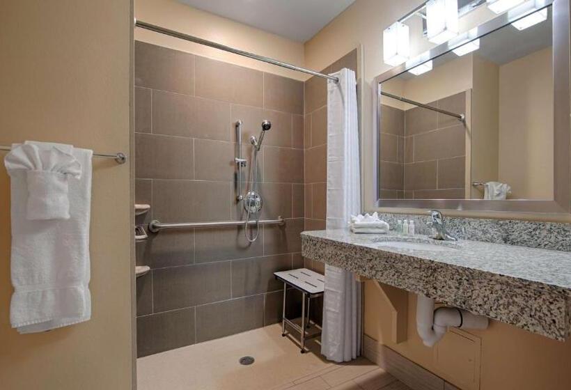 غرفة قياسية سرير كينج لذوى الإحتياجات الخاصة, Wyndham Garden Lancaster Ca