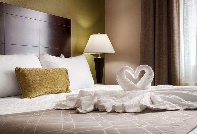 جناح إدارى, Best Western Plus Havre Inn & Suites
