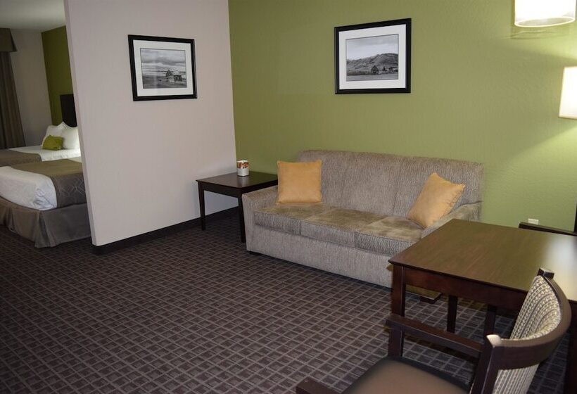 جناح إدارى, Best Western Plus Havre Inn & Suites