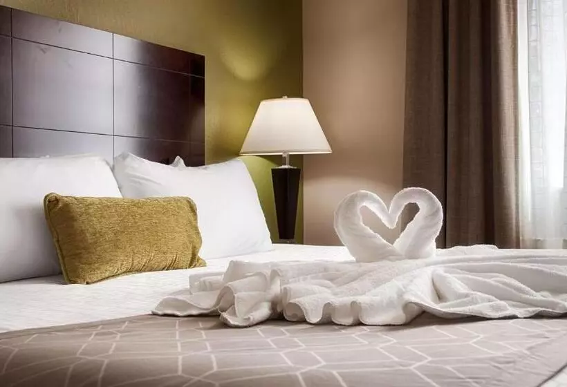身障者適用スイートルーム, Best Western Plus Havre Inn & Suites