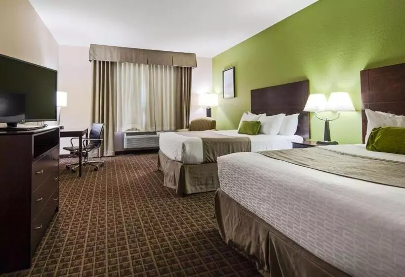 身障者適用スイートルーム, Best Western Plus Havre Inn & Suites