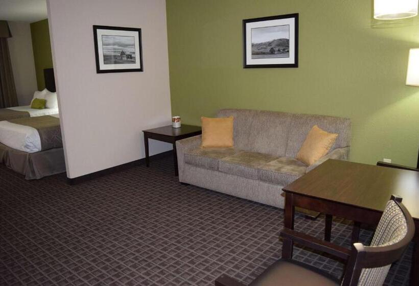 Люкс Адаптированный для Инвалидов, Best Western Plus Havre Inn & Suites