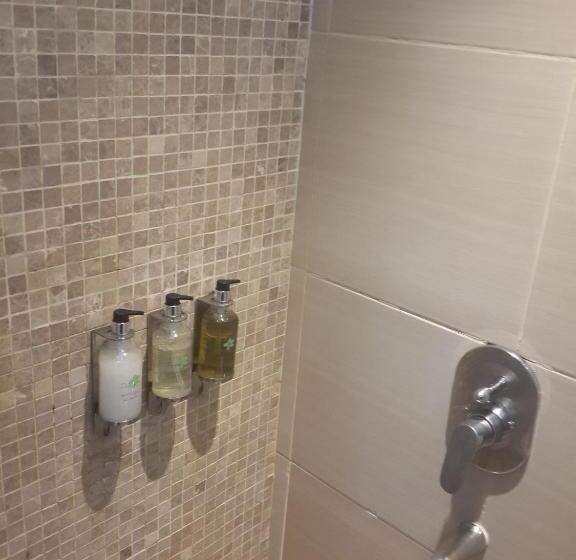 اتاق لوکس, Boma Inn Eldoret