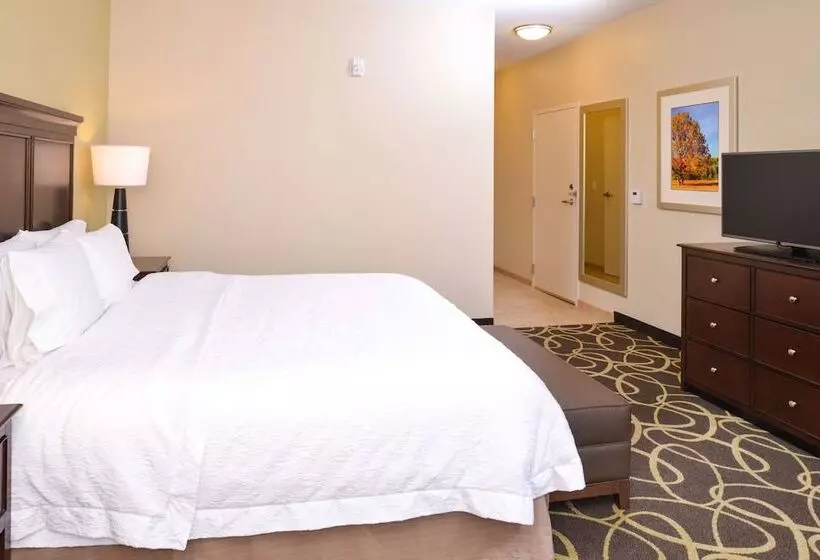 身障者適用スタンダードルーム, Hampton Inn Omaha Midtownaksarben Area