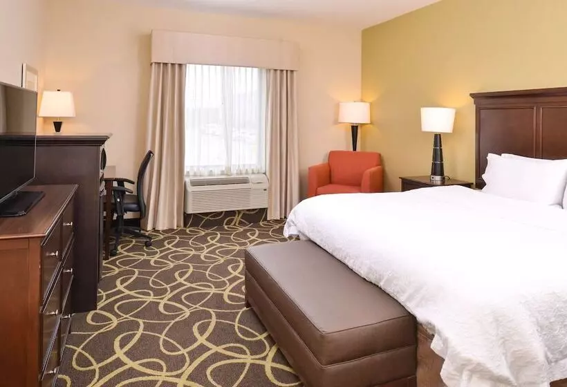 身障者適用スタンダードルーム, Hampton Inn Omaha Midtownaksarben Area