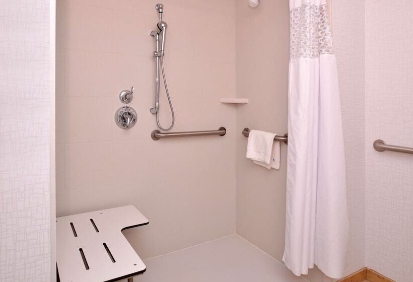 Номер Стандарт Адаптированный для Инвалидов, Hampton Inn Omaha Midtownaksarben Area