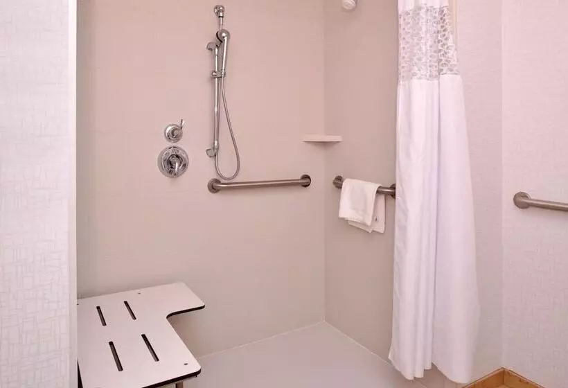 身障者適用スタンダードルーム, Hampton Inn Omaha Midtownaksarben Area