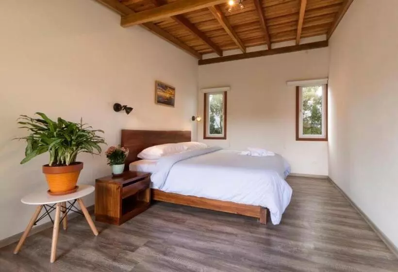 Juniorsviitti, Hosteria Papagayo Cotopaxi