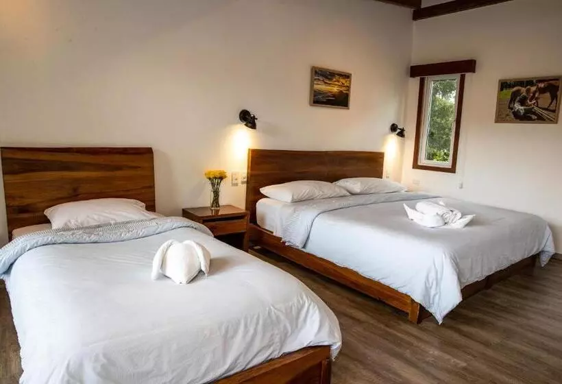 Standard-huone, Hosteria Papagayo Cotopaxi