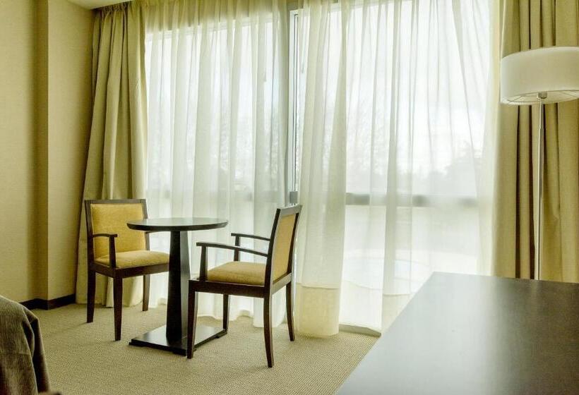 חדר סטנדרט, Howard Johnson Neuquen