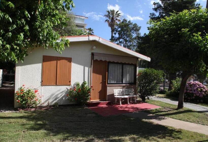 بانگلوی استاندارد, Paradise Complejo Turistico