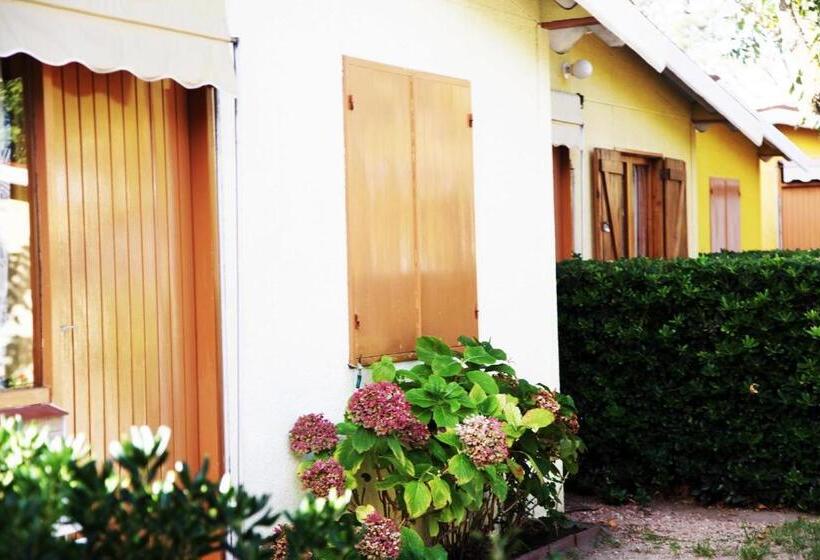 بانگلوی استاندارد, Paradise Complejo Turistico