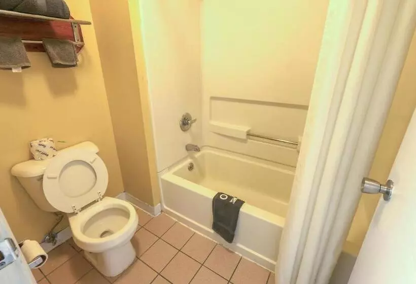 キングサイズベッドのスタンダードルーム, OYO Hotel Brownsville TN I-40