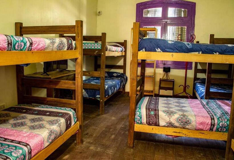 اتاق خانوادگی, Elisa Posada