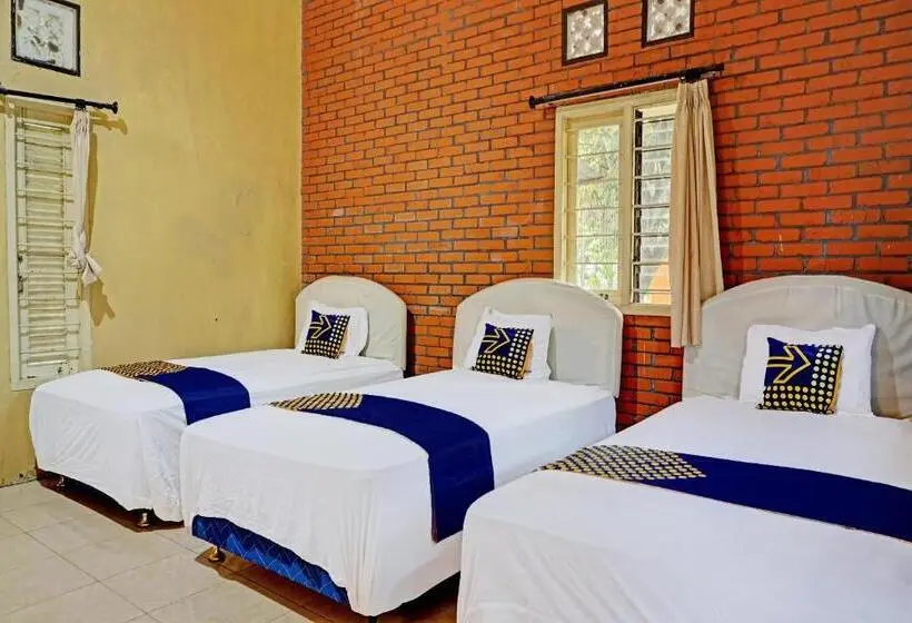 Economy Triple Room, O Griyo Werdiningsih