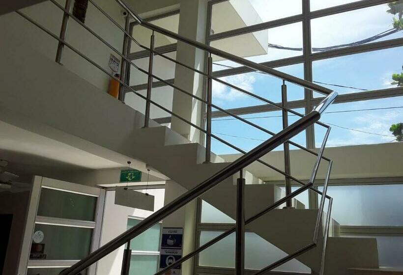 Номер Стандарт, Aliika