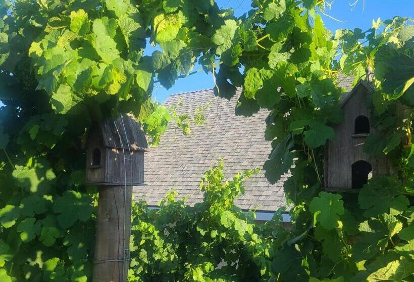 キングサイズベッドのスーペリアルーム, Hidden Hacienda