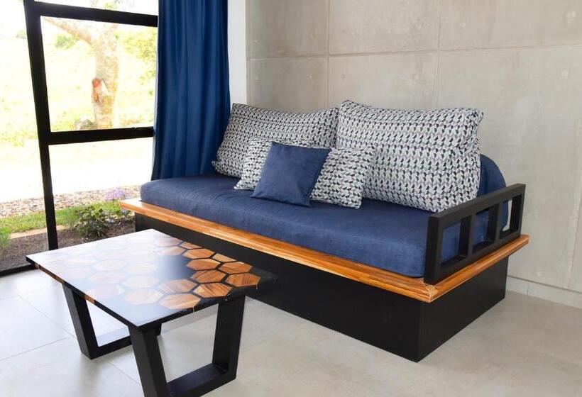 جناح ديلوكس سرير كينج, Colinas Altavista