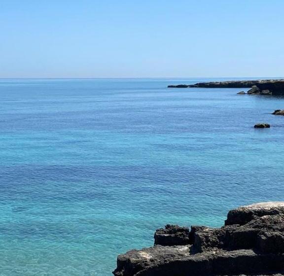 اتاق استاندارد, Visavi  Luxury Room