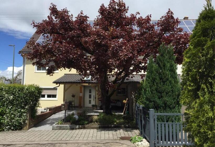 Апартаменты 1 Спальня, Apartmentvermietung Ingrid Bolkart   Vöhlino 2