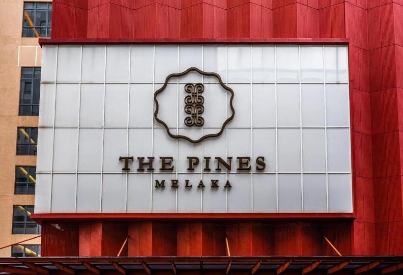 套房带泳池景, Greystone 99 Suites