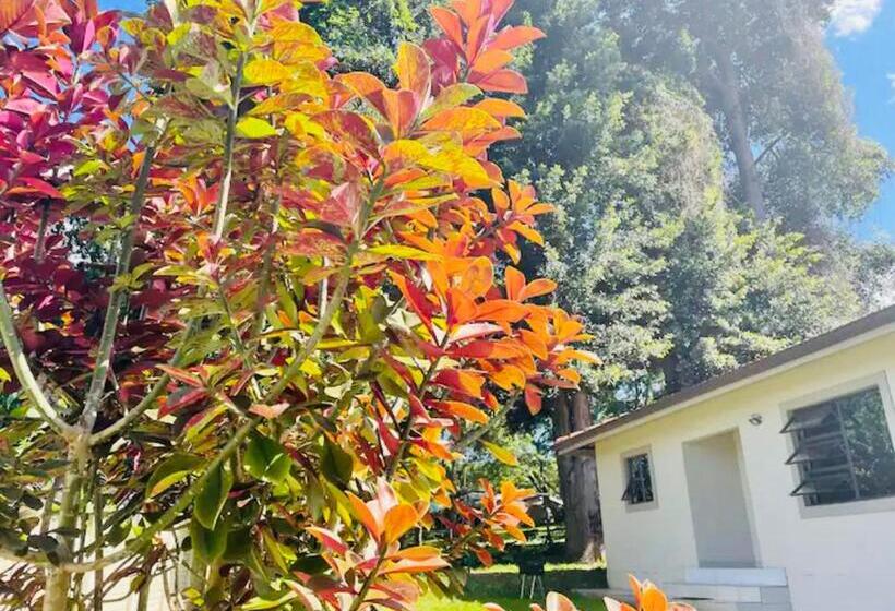 غرفة قياسية مطلّة علي الحديقة, Snamel Guest House Waterfall