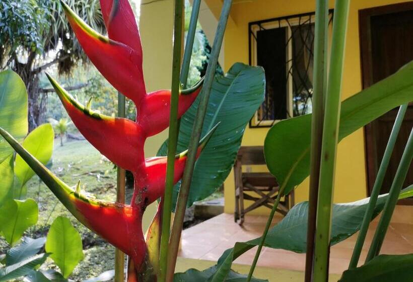 غرفة قياسية, Mira Olas Cabins