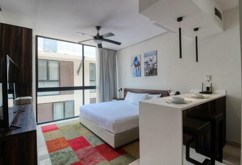 إستوديو قياسى, Moonlight 002 At Aldea Zama