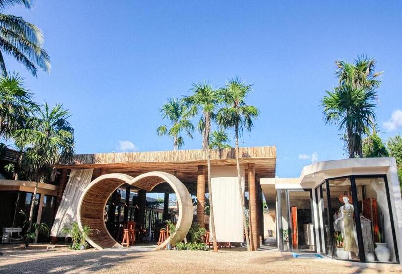 إستوديو قياسى, Moonlight 002 At Aldea Zama