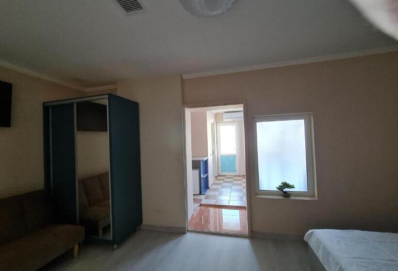 استودیوی استاندارد, Vila Zaya Saturn