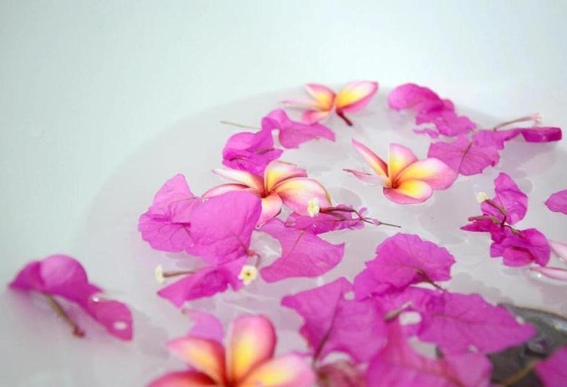 패밀리 방갈로, Chongkhao Resort  Phi Phi Island