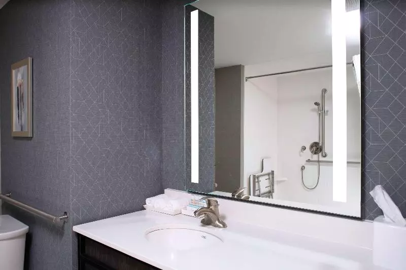 キングサイドベッドのスタンダードワンルーム, Hampton Inn & Suites Rome