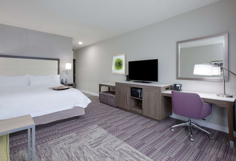 Номер Стандарт Кровать Кинг Адаптированный для Инвалидов, Hampton Inn & Suites Tylersouth