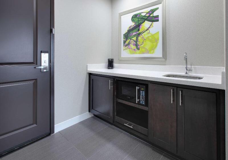 إستوديو قياسى سرير كينج, Hampton Inn & Suites Tylersouth