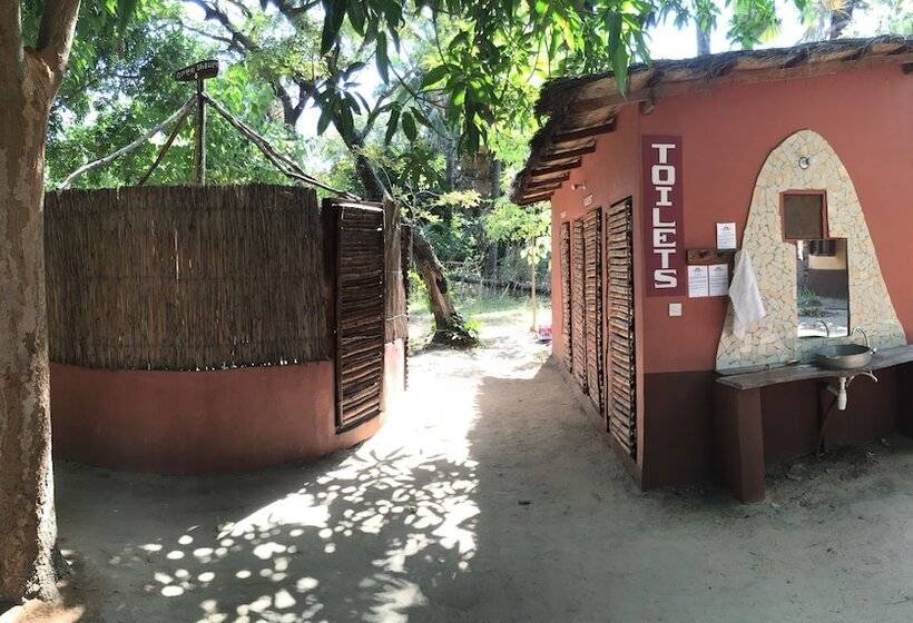 اتاق اکونومی یک تخته, Nemasu Ecolodge