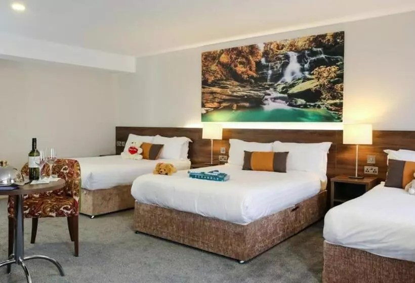 اتاق استاندارد سه نفره, Nox Hotel Galway