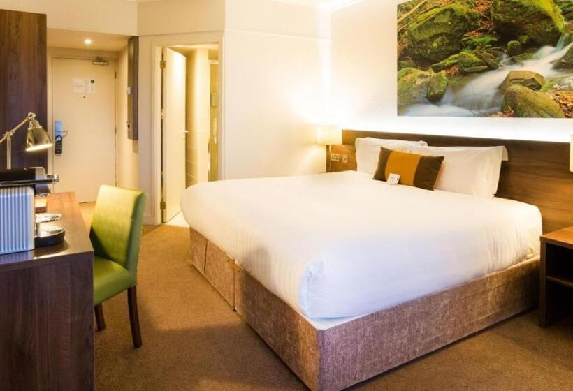 带大床的标准间, Nox Hotel Galway