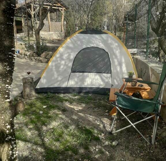 چادر با خدمات رفاهی استاندارد, Nargizaanta