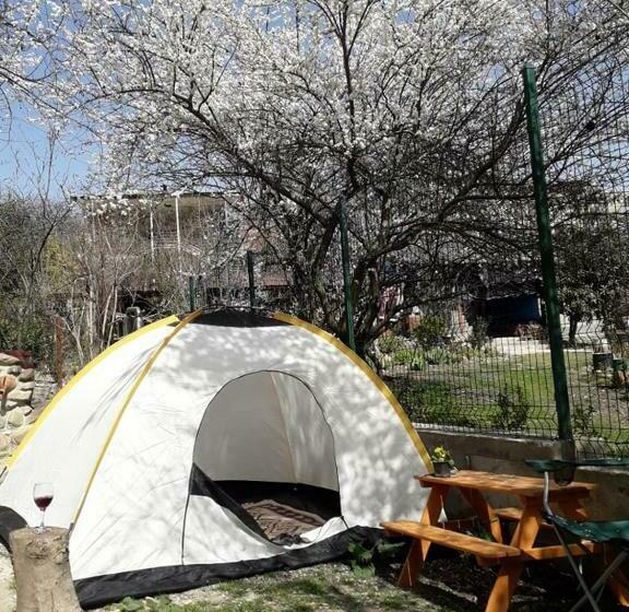 چادر با خدمات رفاهی استاندارد, Nargizaanta