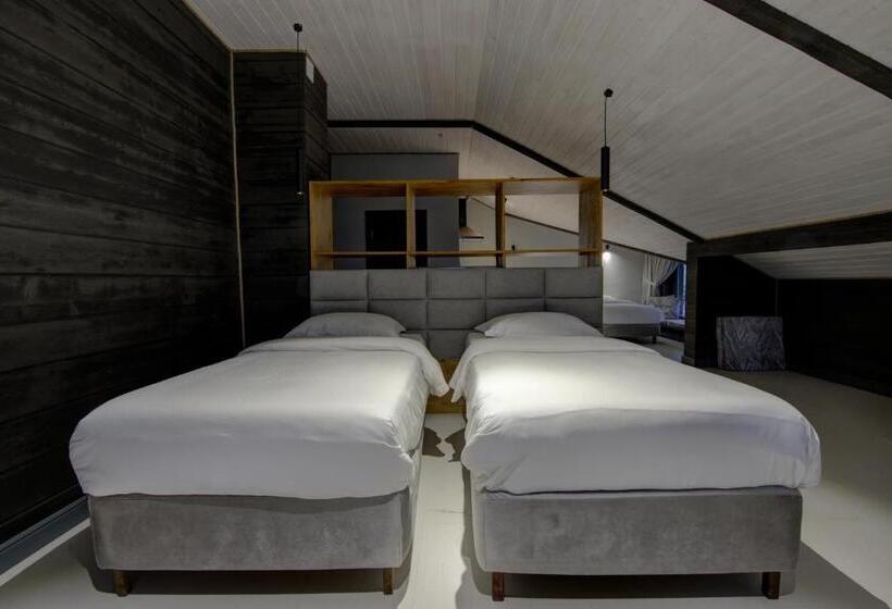 اتاق استاندارد چهار تخته, Olimp