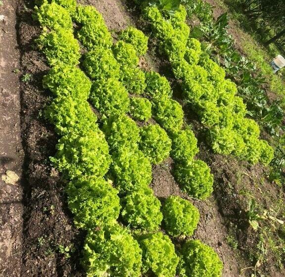 בית, 4 חדרי שינה, El Pentagono Verde