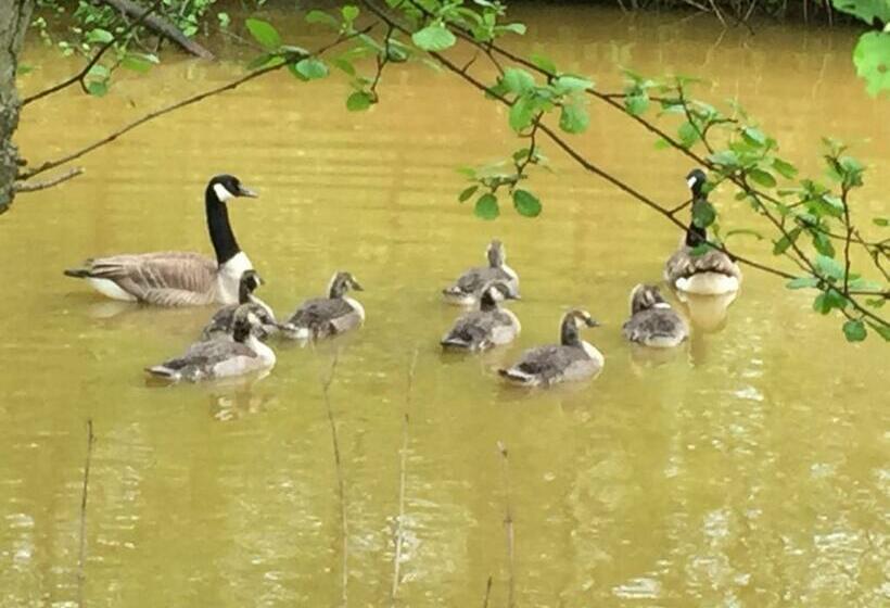 침실 1개 주택, B&b  T Gezellig Huizeke