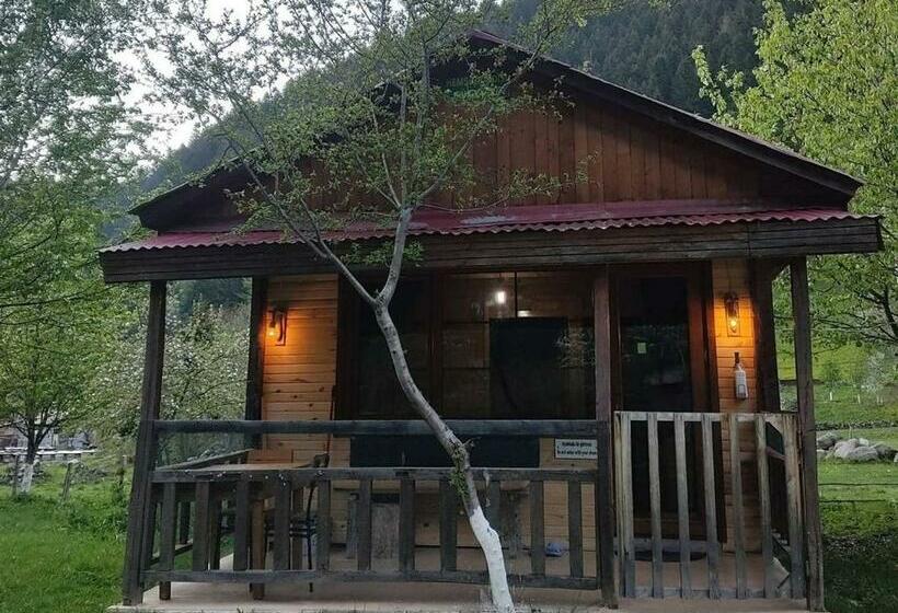 בונגלו סטנדרט עם נוף לגינה, Cancik Dağ Evleri