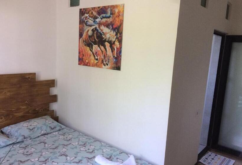 اتاق اکونومی, Villa Portina